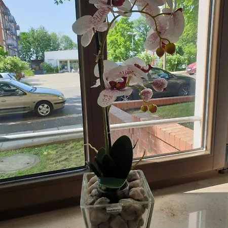 Avenue - Hilbersdorfer Strasse Appartement *