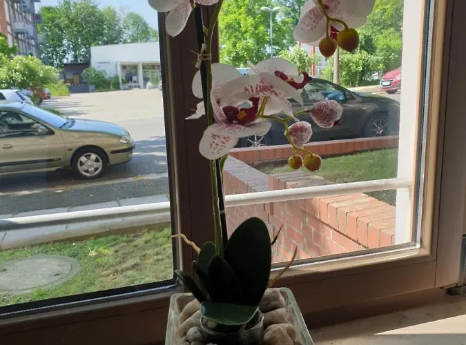 Avenue - Hilbersdorfer Strasse شقة *